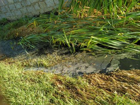 colladovillalba-arroyopovedalinos_tramoplanetlaventa5_20161109