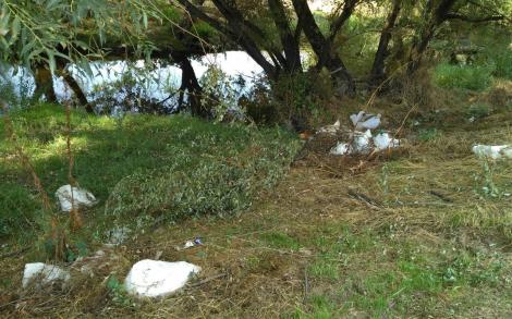 ColladoVillalba-ParquesYJardines_Romacalderas201708(Escombros3)