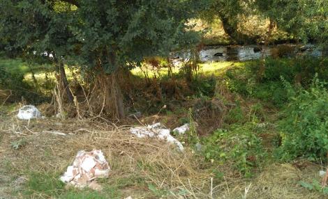 ColladoVillalba-ParquesYJardines_Romacalderas201708(Escombros4)