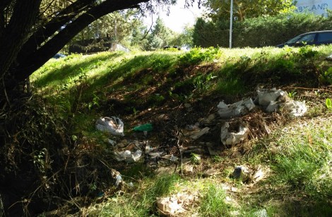 ColladoVillalba-ParquesYJardines_Romacalderas201708(Escombros8)