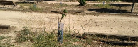 ColladoVillalba-ParquesYJardines_Romacalderas201708(Mobiliario5)