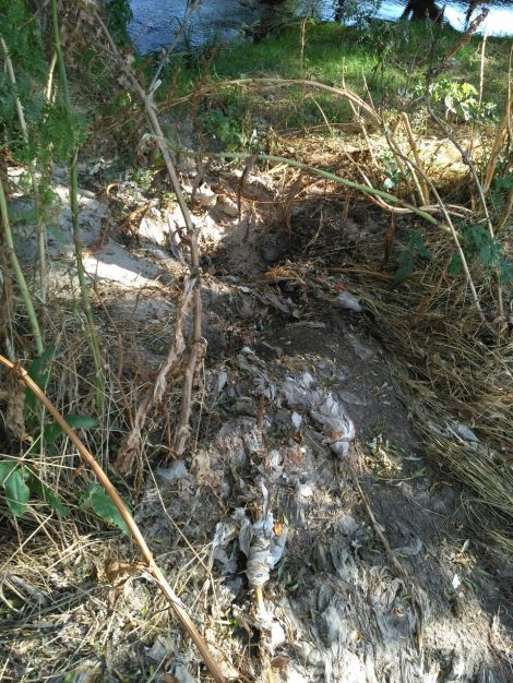 ColladoVillalba-ParquesYJardines_Romacalderas201708(Vertidos5)