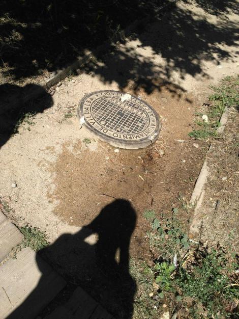 ColladoVillalba-ParquesYJardines_Romacalderas201709(Salud7)