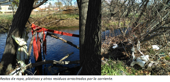 ExCV-InformeRíoGuadarrama05