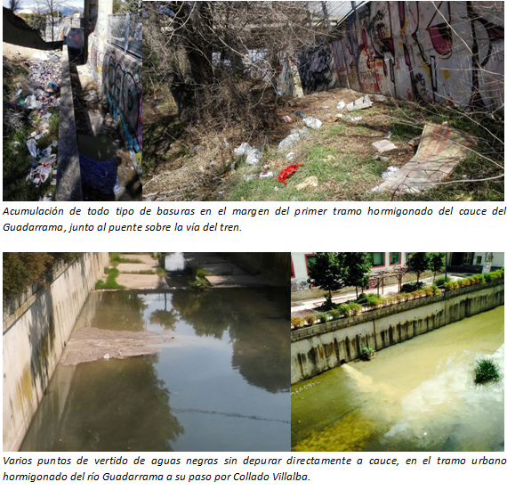 ExCV-InformeRíoGuadarrama10