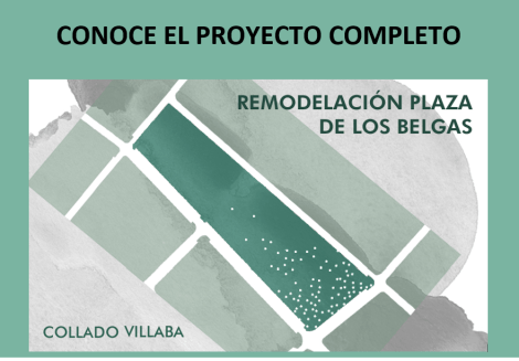 proyecto belgas